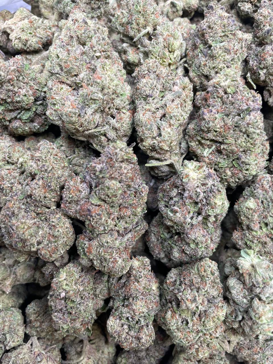 Frosted Pancakes strain